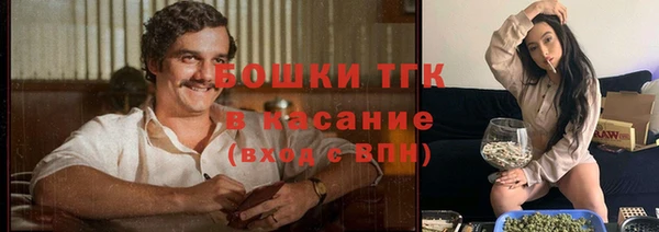 дмт Козловка