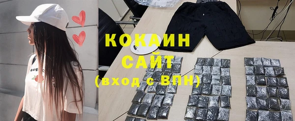 дмт Козловка