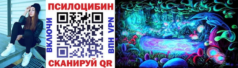 Купить закладки  Салават  Псилоцибиновые грибы GOLDEN TEACHER 